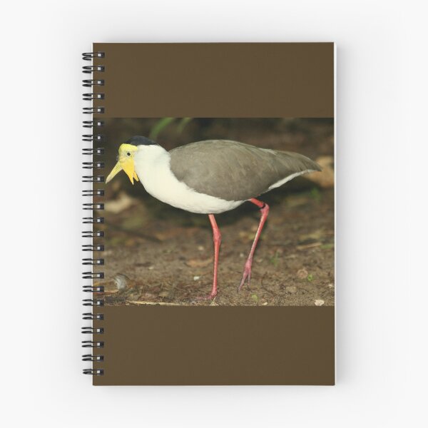 Item preview, The Australian Masked Lapwing Bird designed and sold by anitahiltz.