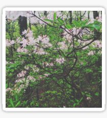 Faded Flower Forest Sticker