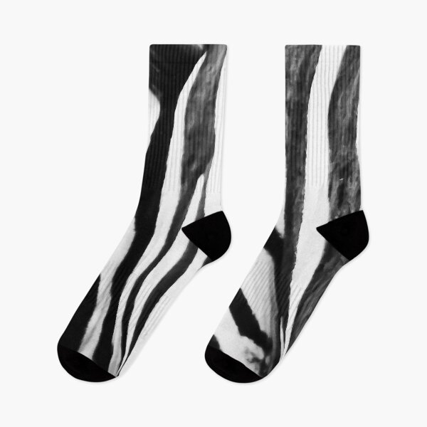 Item preview, Black and White Zebra Art designed and sold by AyazL.