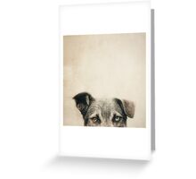 thoughts of dog journal