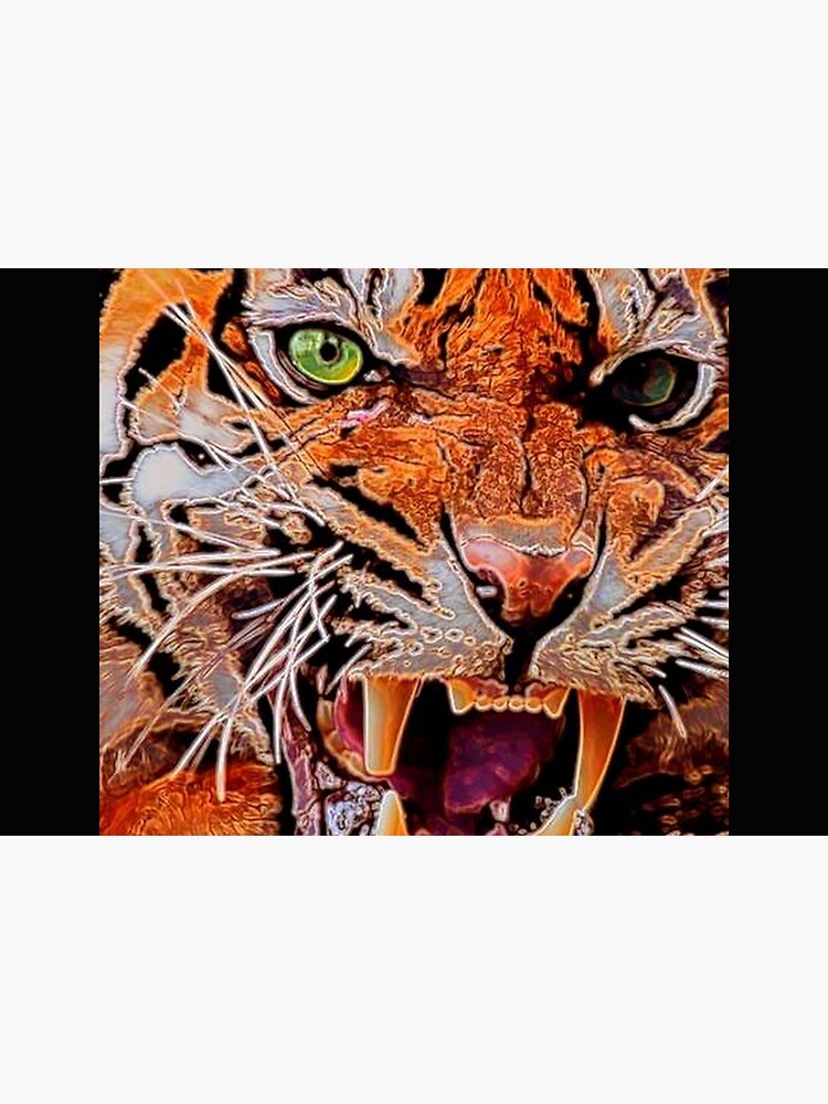 TIGER by michaeltodd