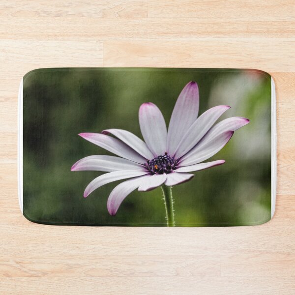 Item preview, Osteospermum. designed and sold by John Ray.
