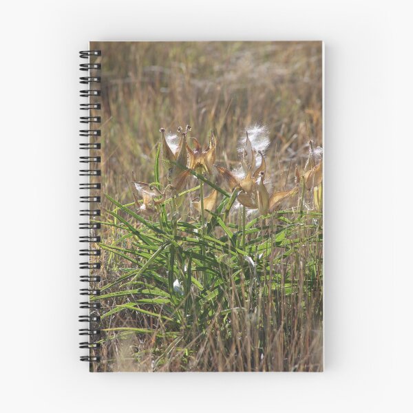 Item preview, Mountain Milkweed Fluff designed and sold by hendrickssdh.
