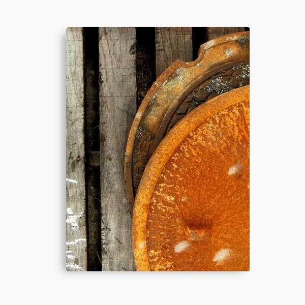 Aperçu de l'œuvre Rusted créée et vendue par Tracy Engle.