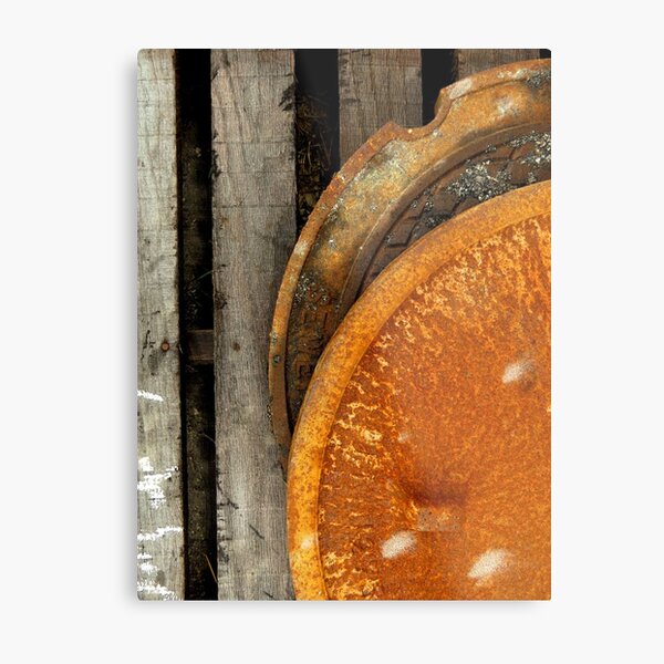 Aperçu de l'œuvre Rusted créée et vendue par Tracy Engle.