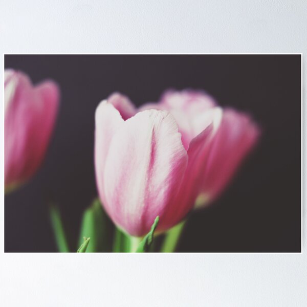 Item preview, abloom designed and sold by beverlylefevre.