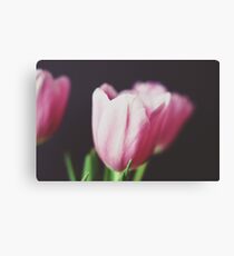 abloom Canvas Print