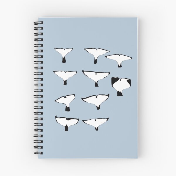 Item preview, SeaWorld San Diego orca pod tail flukes (no names) designed and sold by Animaldesigns24.