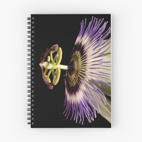Item preview, Over the top. designed and sold by Paul Pasco.