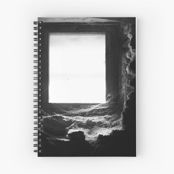 Item preview, Web and window. designed and sold by Paul Pasco.