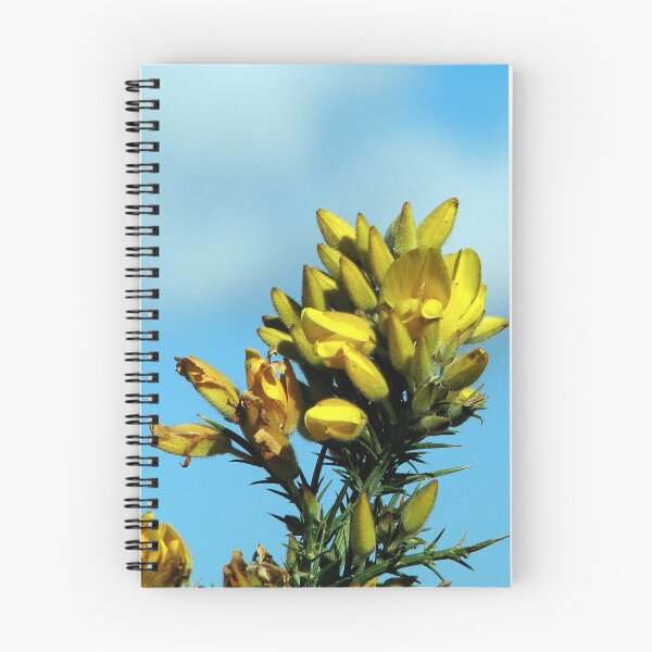 Item preview, Gorse designed and sold by Sharon Perrett.