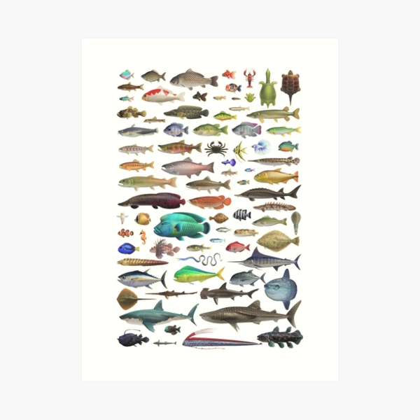 ALL FISH N STUFF Critterpedia | iPad Case & Skin