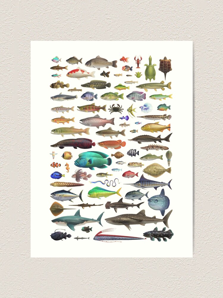 ALL FISH N STUFF Critterpedia Art Print for Sale by Stuck at Home