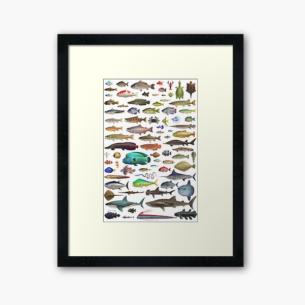 Item preview, ALL FISH N STUFF Critterpedia designed and sold by Stuck at Home.