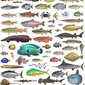 ALL FISH N STUFF Critterpedia Poster for Sale by Stuck at Home