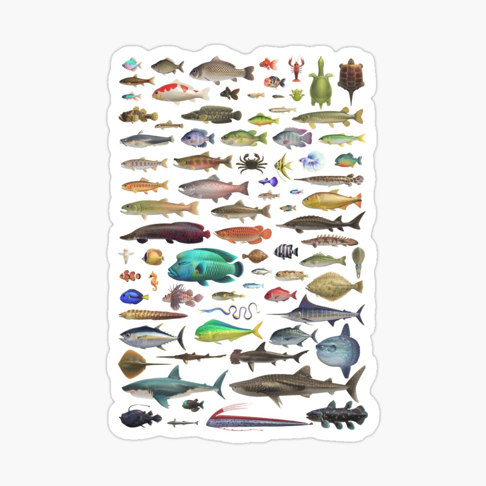 ALL FISH N STUFF Critterpedia | Greeting Card