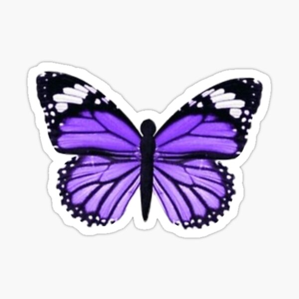 sticker papillon violet