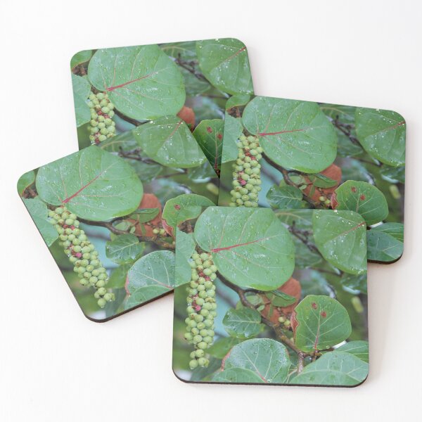 Item preview, Sea Grapes designed and sold by genalatorre.