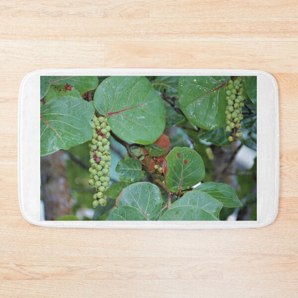 Item preview, Sea Grapes designed and sold by genalatorre.
