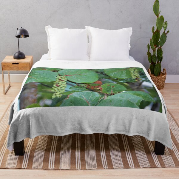 Item preview, Sea Grapes designed and sold by genalatorre.