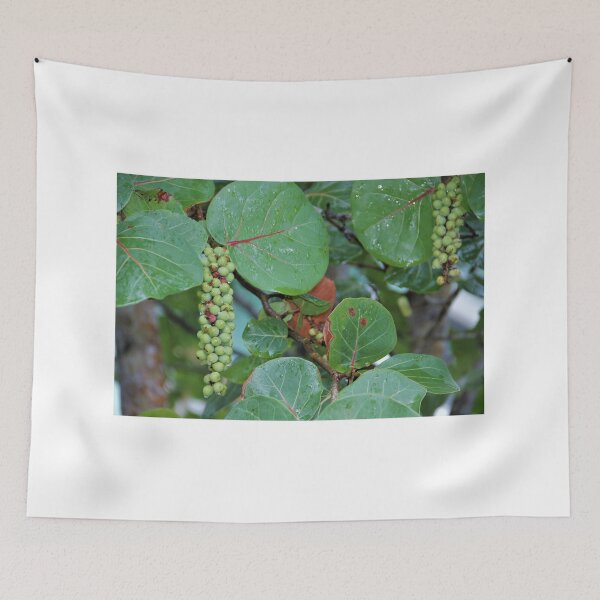 Item preview, Sea Grapes designed and sold by genalatorre.