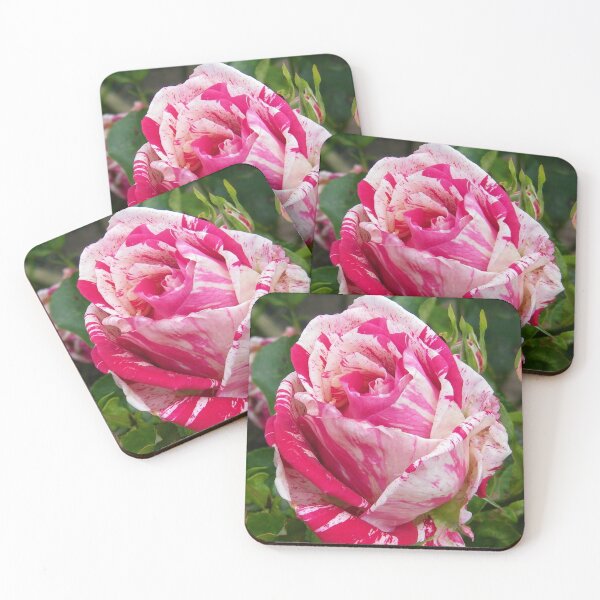 Item preview, The Rose .. Hanky Panky designed and sold by LoneAngel.