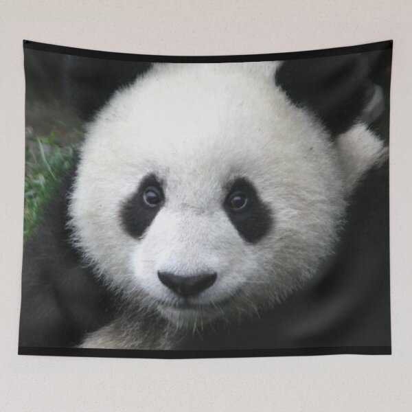 Item preview, Panda designed and sold by jimresuelo.
