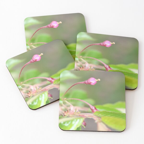 Item preview, Pink Single Budding Flower designed and sold by XCEEDTRANSITION.