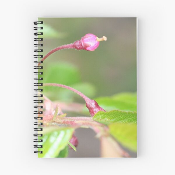 Item preview, Pink Single Budding Flower designed and sold by XCEEDTRANSITION.