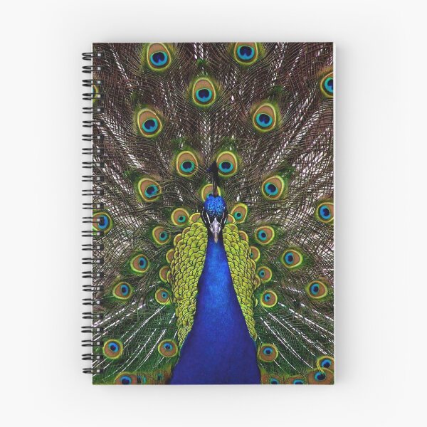 Item preview, Dazzling Peacock designed and sold by CathalDevlin.