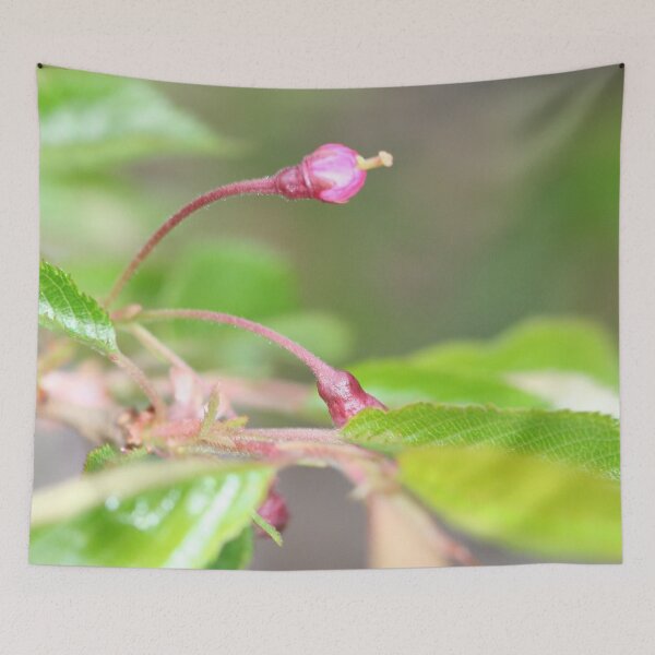 Item preview, Pink Single Budding Flower designed and sold by XCEEDTRANSITION.