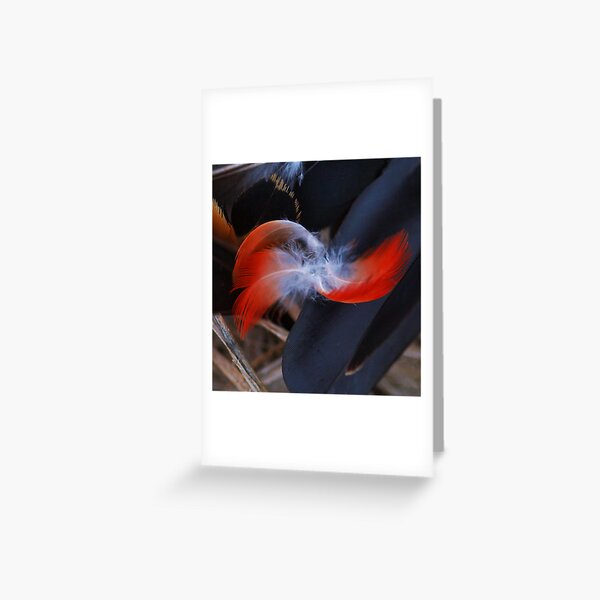 Left Behind Greeting Card