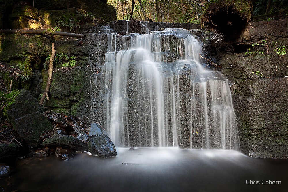 "Strickland Falls, South Hobart, Tasmania 4" by Chris Cobern Redbubble