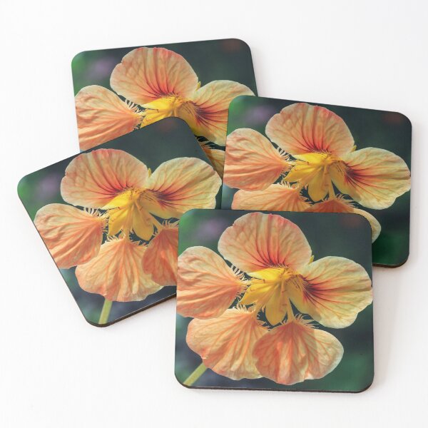 Item preview, Nasturtium. designed and sold by John Ray.