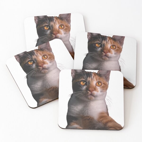 Item preview, BELLO KITTEN designed and sold by elciudadano.