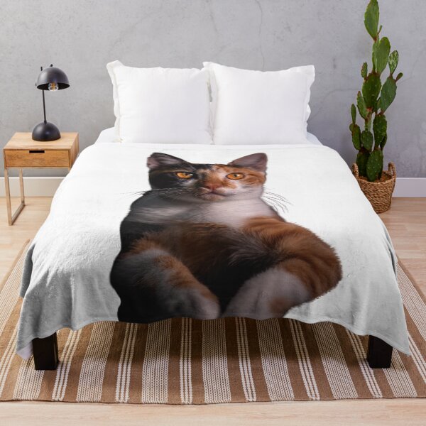 Item preview, BELLO KITTEN designed and sold by elciudadano.