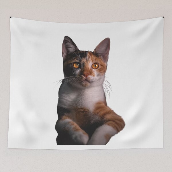 Item preview, BELLO KITTEN designed and sold by elciudadano.