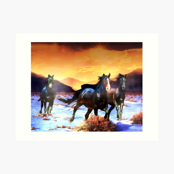 Into The Night Art Print