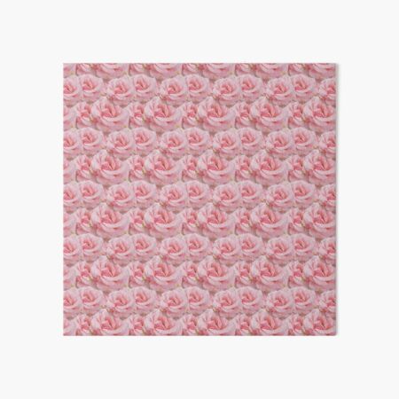 Duggins Castle Cottage Rose, Pale Pink Flowers Art Board Print