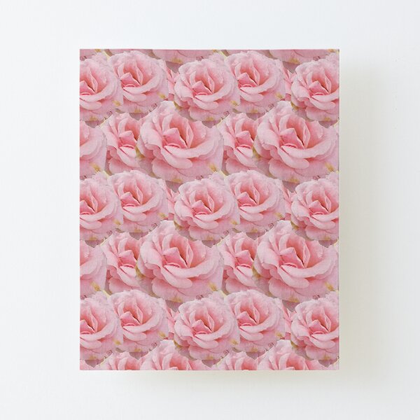 Duggins Castle Cottage Rose, Pale Pink Flowers Canvas Mounted Print