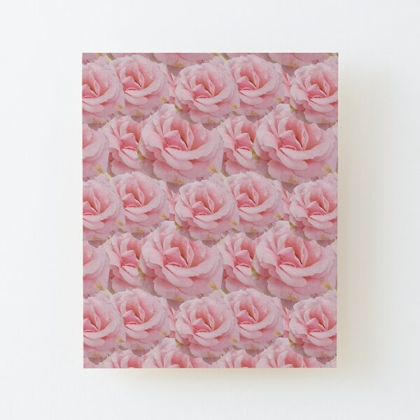 Duggins Castle Cottage Rose, Pale Pink Flowers Wood Mounted Print