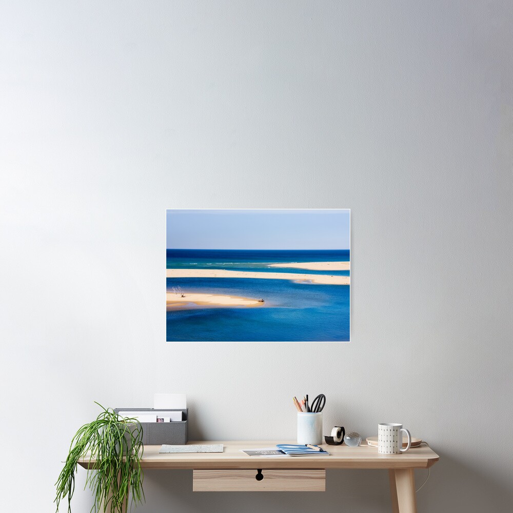 Snowy Meets the Sea Poster