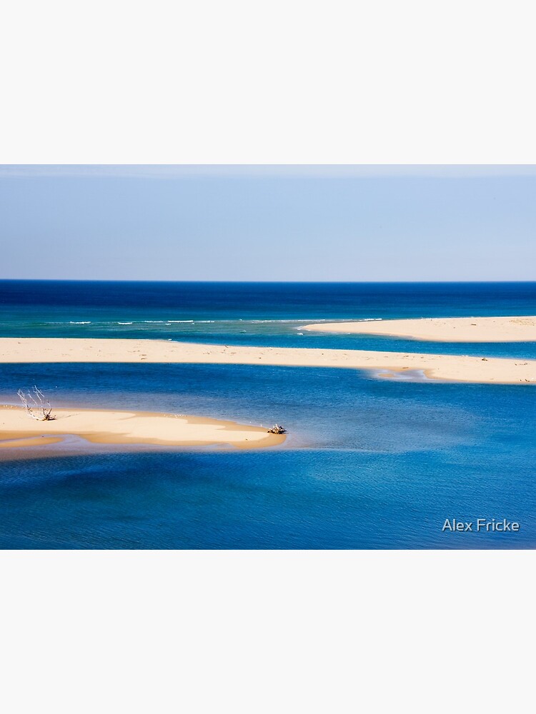 Snowy Meets the Sea by alfricke