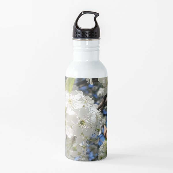 Glorious tree blossoms and blue skies Water Bottle
