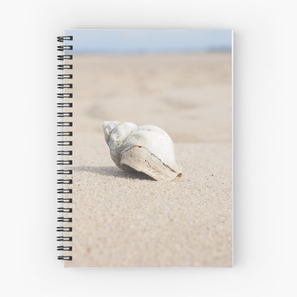 Item preview, Whelk on sand beach designed and sold by Kinisis.