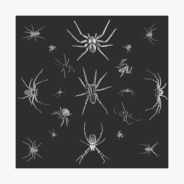 Item preview, Spiders designed and sold by Anna R. Carrino.