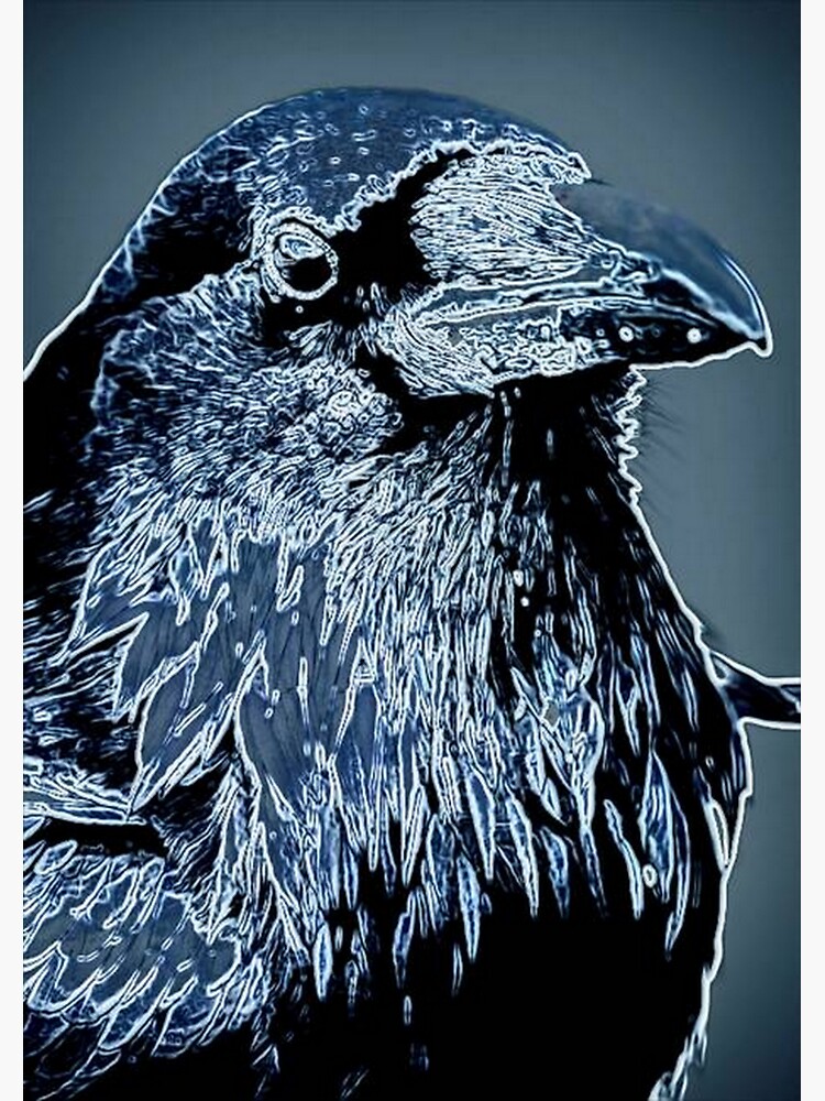 CROW by michaeltodd