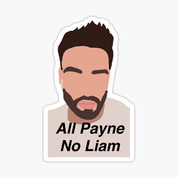 Liam Payne (pain) meme Sticker