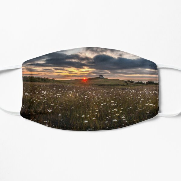 photograph fields of daisies at sunset in the Magdalen Islands Flat Mask