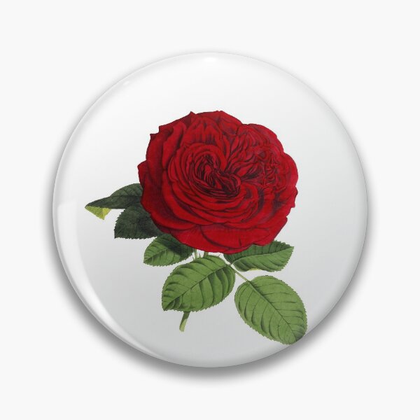 Item preview, Beautiful Red Rose designed and sold by Novel Gifts.